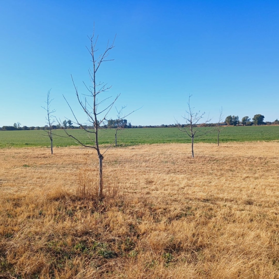  Bedroom Property for Sale in Barkly West Rural Northern Cape